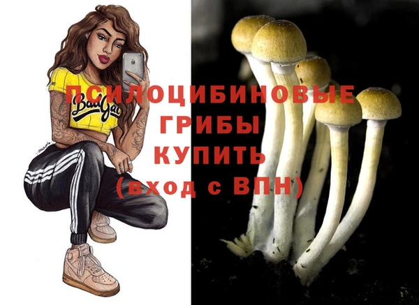 MDMA Алексеевка