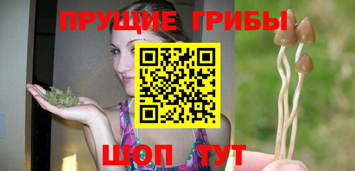 Псилоцибиновые грибы прущие грибы  Вход с VPN  Донской 